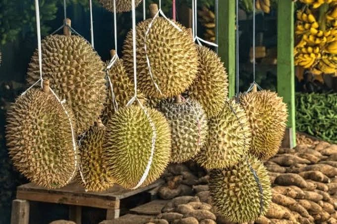 Destinasi Baharu Buat Pencinta Durian