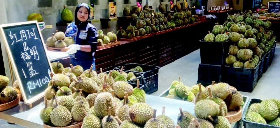 Khazanah Emas Berduri