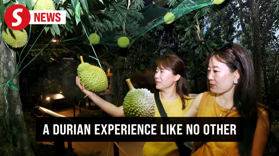 Kuala Lumpur Durian Experience Centre Opens, Celebrating Malaysia's Beloved "King of Fruits"