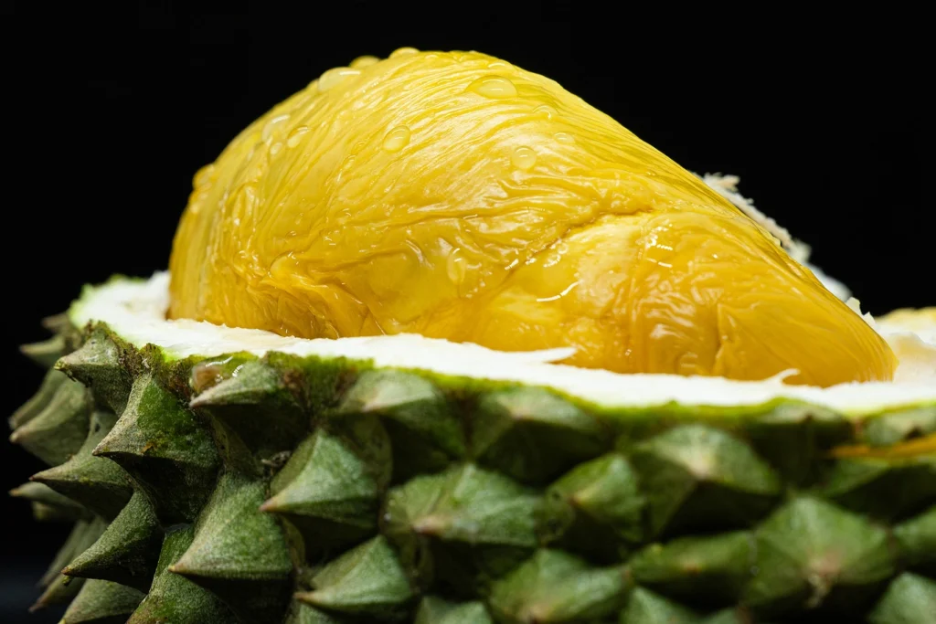 Malaysia to host $2.5 all-you-can-eat durian buffet offering premium Musang King, Black Thorn By Hien Nguyen July 3, 2026 | 12:09 am PTGoogle Get VnExpress first in Google Search infoMalaysia's Melaka state will offer an all-you-can-eat durian buffet featuring premium Musang King and Black Thorn this weekend, with the first 2,000 visitors paying just RM10 (US$2.50) each. The 20-minute buffet will be held during the one-day Melaka Durian Festival 2026 on July 5 in Selandar, a town in the state’s Jasin District. The price was originally set at RM25 for state residents and RM50 for out-of-state visitors, but Melaka’s Chief Minister Ab Rauf Yusoh has approved a subsidy to provide the special rate for the first 2,000 visitors, according to Tourism Melaka. "Ab Rauf wants to treat the people to premium durians and celebrate the season together with them," Muhamad Akmal Saleh, the state’s State Rural Development, Agriculture and Food Security Committee chairman, told The Star on Thursday. Advertisement "Visitors above the figure will have to pay the original RM25 per entry to the orchard," he said, adding that the festival also includes traditional performances, food truck offerings and a petting zoo. This photo taken on June 30, 2026, shows a peeled Black Thorn durian fruit in Malaysia. Photo by AFP This photo taken on June 30, 2026, shows a peeled Black Thorn durian fruit in Malaysia. Photo by AFP The festival comes amid a bumper durian harvest across several of Malaysia's key growing regions, creating an oversupply that has triggered a sharp drop in prices in what local media have dubbed a "durian tsunami." Prices for the prized Musang King have fallen by as much as 90% to as low as RM9 (US$2.20) per kilogram. Other popular varieties, including 101 and Red Prawn, have also been selling for as little as RM2 per fruit while some regular durians cost just RM0.50 each, local media reported late last month. Industry players, however, have said the price slump largely affects lower-grade and smaller fruits that do not meet export standards. "Despite the current durian glut in the market, the retail price of premium durians such as Musang King is still around RM25 to RM35 per kilogram, while Black Thorn is almost reaching RM40 per kilogram," Muhamad Akmal told national news agency Bernama on Tuesday. The festival aims to draw more tourists to Melaka and open up more marketing opportunities for local durian growers, he added. Malaysia's durian glut to keep prices low until August Malaysia's durian glut to keep prices low until August The recent glut of durians in Malaysia is expected to last throughout the harvest season, allowing local fans of the fruit to enjoy lower prices until August. Malaysia's durian harvest surges, offering sweet delight Malaysia's durian harvest surges, offering sweet delight A bumper harvest has sent a ‘durian tsunami’ through Malaysia, flooding the market with famously smelly ‘king of fruits’ and driving prices sharply down. Singapore enjoys $15/kg Musang King amid durian glut in Malaysia Singapore enjoys $15/kg Musang King amid durian glut in Malaysia Durian prices in Singapore have tumbled, with the popular Musang King selling for just S$20 (US$15.4) per kilogram, driven by an oversupply in Malaysia, the city-state’s main supplier. Durian sells for 20 US cents a kilogram in Malaysia, 3 tonnes snapped up in 5 minutes Durian sells for 20 US cents a kilogram in Malaysia, 3 tonnes snapped up in 5 minutes Around 3,000 kg of durian priced at just RM1 (US$0.24) per kilogram sold out within five minutes in Kampung Bukit Tunggal as a bumper harvest triggered a nationwide price slump. One-ton-a-day free durian giveaway draws long queues in Singapore One-ton-a-day free durian giveaway draws long queues in Singapore A stall in Singapore is attracting large crowds with a giveaway of up to 1,000 kilograms of free durians every day. Over 1,000 form 2km queue for $860-a-month jobs in Malaysia Over 1,000 form 2km queue for $860-a-month jobs in Malaysia More than 1,000 job seekers queued at an open interview session for positions at a semiconductor manufacturer in Malaysia's Melaka state that offered starting salaries of RM3,500 (US$860) a month.