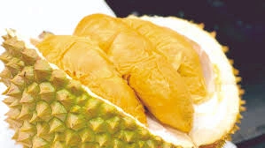 Memelihara Warisan dan Budaya Durian Malaysia