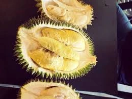 Title The Largest Durian Lover's Paradise A Dream Destination For Every Durian Fan